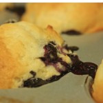 Blueberry Muffins