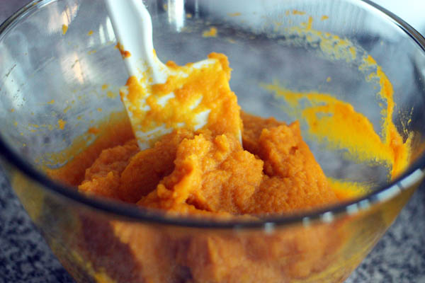 How To’sday: How to Make Pumpkin Puree – 30 Pounds of Apples